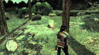 I Need Help Finding Beavers in quotRed Dead Redemptionquot  quotRed Dead Redemptionquot Tutorials [upl. by Lawry115]