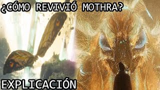 ¿Cómo Revivió Mothra en Godzilla x Kong El Nuevo Imperio Explicación  El Regreso de Mothra en GxK [upl. by Sateia393]