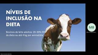 Polpa Cítrica na alimentação animal [upl. by Barty63]