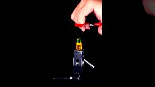 micro photography with phone short shortvideo asmr satisfying micro apfactsfactory [upl. by Nameloc98]