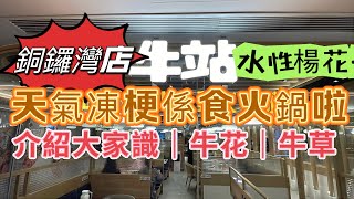 牛站銅鑼灣店｜水性楊花自助火鍋打邊爐 自助山｜自助餐｜ 午餐 [upl. by Linnet]