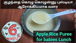 ஒரே மாதத்தில் 3 கிலோ வரை உடல் எடை அதிகரிக்கும்  Apple rice Puree for babies weight gain [upl. by Rednav]