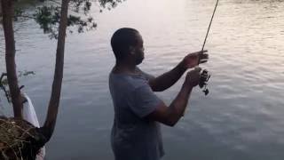 Sheepshead Fishing Wilmington NC [upl. by Illak699]