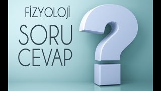 FİZYOLOJİ SORU CEVAP VİDEOSU [upl. by Clarette]