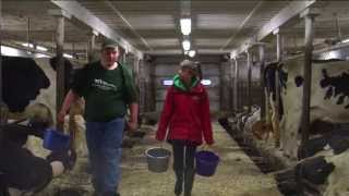 Part 1 Life Of A Dairy Farmer [upl. by Benenson]