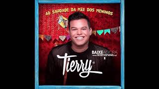 TIERRY  CD PROMOCIONAL 2020 [upl. by Mikey]