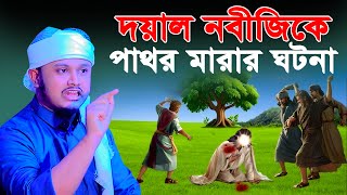 নবীজিকে পাথর মারার ঘটনা । qari shamim reza waz 2024 [upl. by Marchak979]