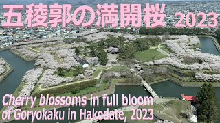 函館 五稜郭の満開桜 2023 Cherry blossoms in full bloom of Hakodate Goryokaku in 2023 [upl. by Cordeelia418]