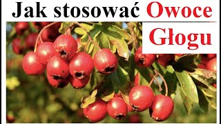 Jak Stosować Owoce Głogu [upl. by Yvan533]