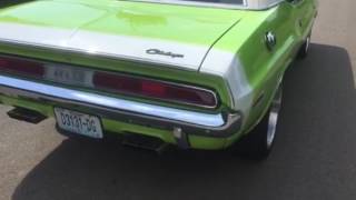 1970 Dodge Challenger sublime green [upl. by Rieth]