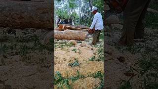 Splitting round wood very preciselywoodwoodworkingshortvideo [upl. by Etolas]