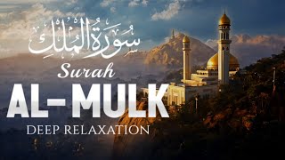 Surah AlMulk cure depression amp anxiety Heal Your Soul Most Heart touching Recitation of Quran [upl. by Moersch]