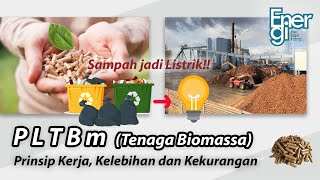 Pembangkit Listrik Tenaga Biomassa PLTBm  Prinsip Kerja Kelebihan dan Kekurangan [upl. by Analah]