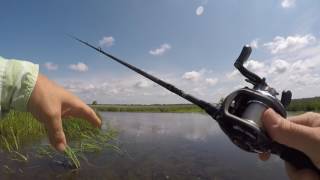 Pascagoula River Fishing May 2016 [upl. by Adnoek]