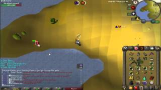 2007 Runescape clue scroll saradomin wizard safespot [upl. by Shoshana]