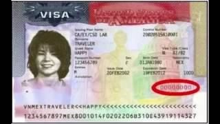 How to find your nonimmigrant visa number [upl. by Sigismund]