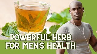 7 Benefits of Stinging Nettle for Men dosage amp usage amp precautions  more  Earth’s Medicine [upl. by Yaja]