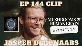 Jasper Degenaars on On Mushrooms amp Human Brain Evolution Fungiacademy [upl. by Haisi]