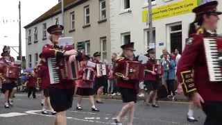 Twelfth July Dungannon 2014 [upl. by Hgielrebmik]