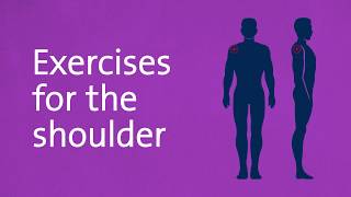 Exercises to ease Plastering Aches and Pains  Shoulder  British Gypsum [upl. by Ellienad]