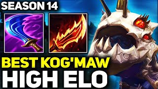 RANK 1 BEST KOGMAW DOMINATING HIGH ELO IN SEASON 14  League of Legends [upl. by Keily]