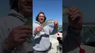 PESCA del PEJERREY con Gerardo Parzianello [upl. by Tiebout]