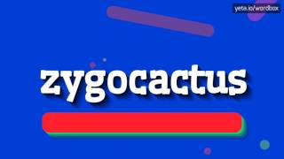 ZYGOCACTUS  HOW TO PRONOUNCE IT [upl. by Navap797]