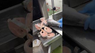 Popular salmon fish slice cutting skillsshorts [upl. by Jutta]