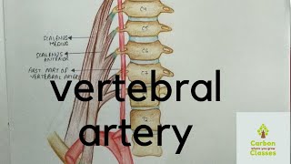 Vertebral Artery Easily Explained [upl. by Aitat]