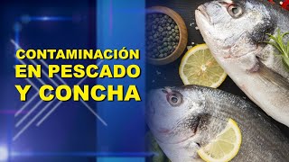 CONTAMINACIÓN EN PESCADO Y CONCHA [upl. by Yvor]