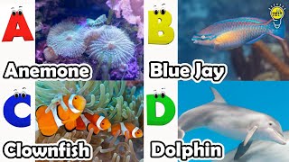 Sea Animals phonics song for toddlers Alphabet phonics song for kids  Phonics Song  Abcde [upl. by Oilerua]