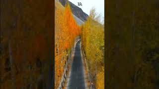 Autumn Bliss in GilgitBaltistan  A Journey Through Golden Landscap  adventure Pakistan travel [upl. by Alel]