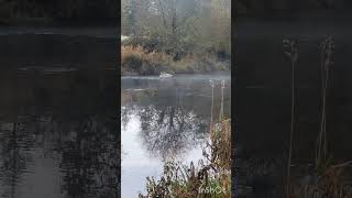 Річка Ліффі Ірландія River Liffey Ireland [upl. by Ycnaffit]