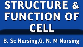 Structure amp Function Of Cell  Organelles Of Cell [upl. by Savinirs]