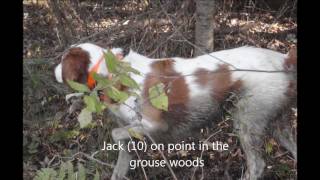 Grouse Hunting 2011 in Pittsburg New Hampshire [upl. by Nilrac]