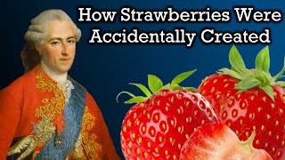 The Unbelievable History of Strawberries [upl. by Eedya54]