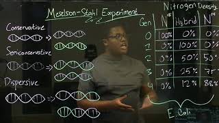 Meselson and Stahl experiment to prove DNA replication is semiconservative [upl. by Anilocin497]