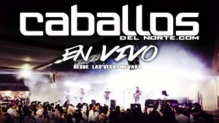 EN VIVO El Caballito Caballos del norte [upl. by Yrakaz]