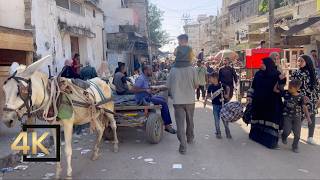 NEW VIDEO FROM GAZA 🇵🇸  14 Nov 2024  Gaza Palestine  Gaza During War  فلسطين غزة [upl. by Elconin973]