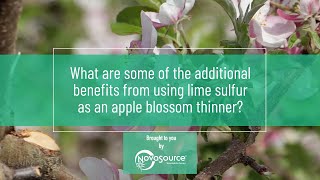 What are Additional Benefits from Using LimeSulfur Solution™ as an Apple Blossom Thinner [upl. by Aivatahs]