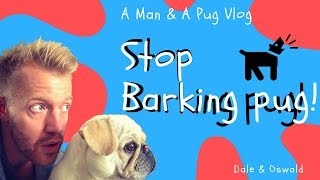 How To Stop Your Pug  Dog Barking [upl. by Mikiso258]