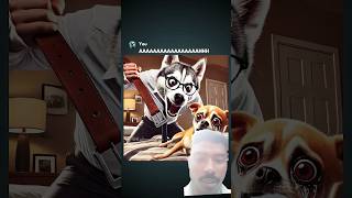 Chihuahua Pranks Dad memes [upl. by Elfrida]