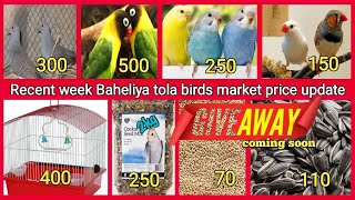 Banaras birds market Baheliya tola birds market price update Giveaway coming soon [upl. by Nagar625]