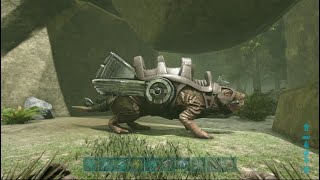 Ark Survival Evolved  Valguero  Season 1 Ep31  Taming a Roll Rat [upl. by Bower169]