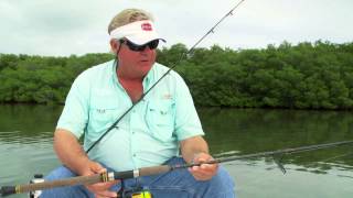 Spinning Reels Vs Conventional Reels [upl. by Shelburne]