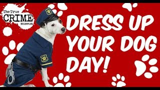 Dress Up Your Dog Day [upl. by Mir]