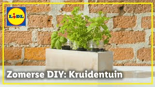 DIY kruidentuin [upl. by Enihpled]