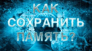 Нейробиолог Алипов как сохранить память в старости Полное видео dysphorra [upl. by Einhapets]