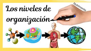 Niveles de organización de la materia y los seres vivos [upl. by Adnawyek]