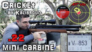 Kalibrgun Cricket 22 Air Rifle Review  Accuracy TEST  50 amp 100 Yards  Mini Carbine PCP [upl. by Sileas190]